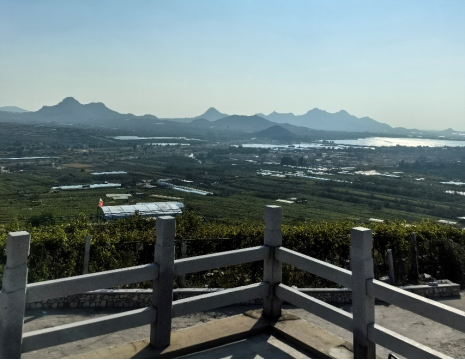 平度大澤山葡萄園引進(jìn)萊恩德土壤肥料檢測(cè)儀， 輕松掌握土壤營(yíng)養(yǎng)